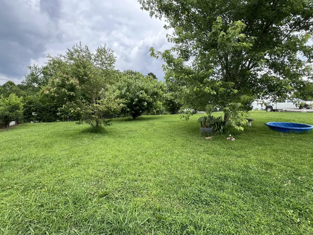793 Bradmeyer Drive Dayton TN 37321