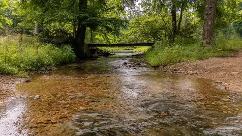 8315 Suckstem Branch Road Lawrenceburg TN 38464