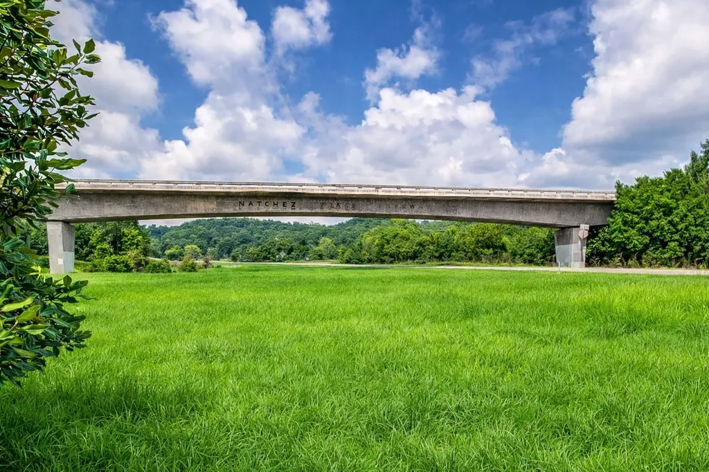 240 Temple Crest Trail Franklin TN 37069