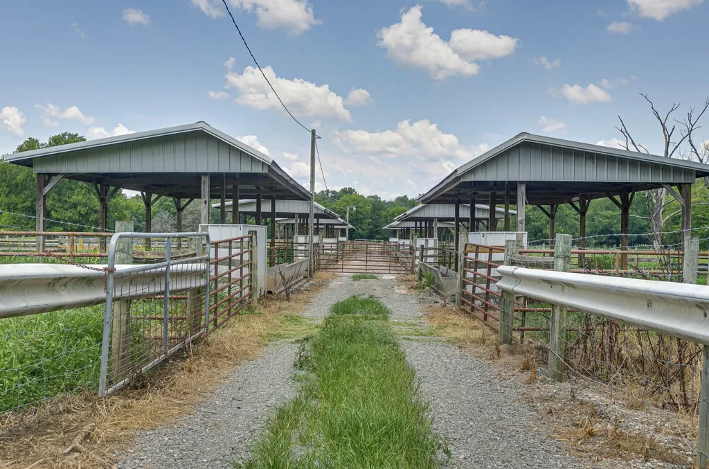 3008 Luke Moser Road Columbia TN 38401