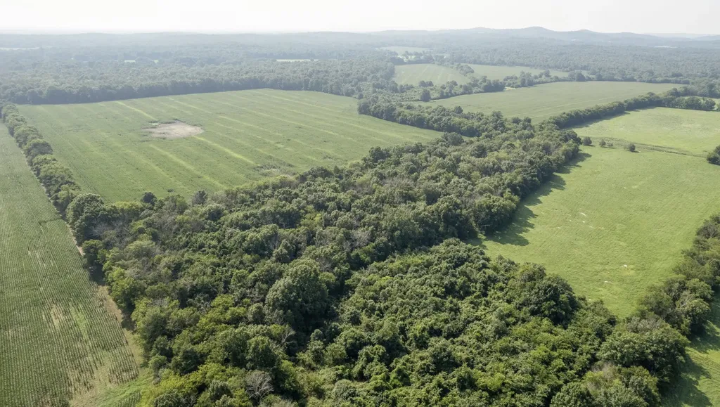 3008 Luke Moser Road Columbia TN 38401