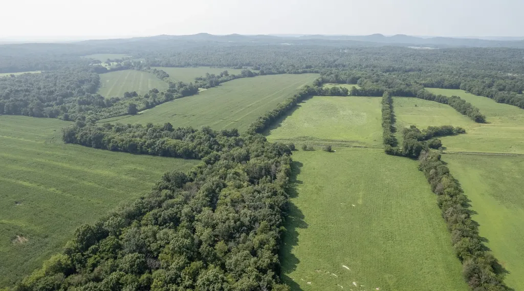 3008 Luke Moser Road Columbia TN 38401