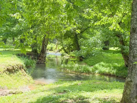 1342 Buchanan Creek Road Pulaski TN 38478