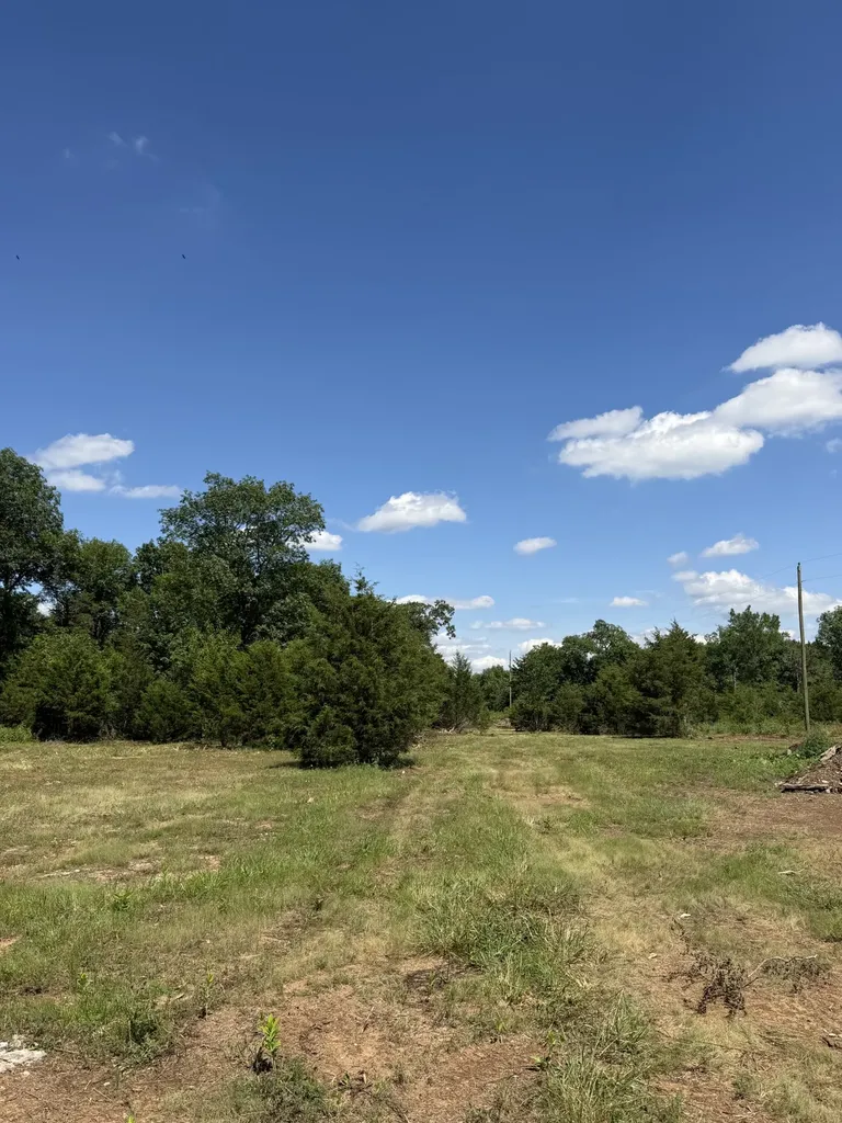 11533 Karo Road Bell Buckle TN 37020