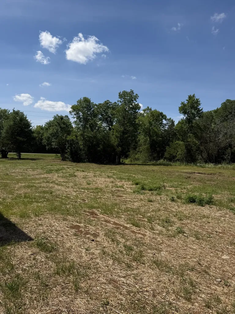 11533 Karo Road Bell Buckle TN 37020