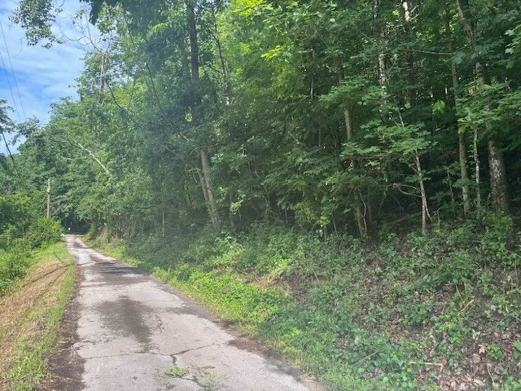 0 Seymour Hollow Road Whites Creek TN 37189