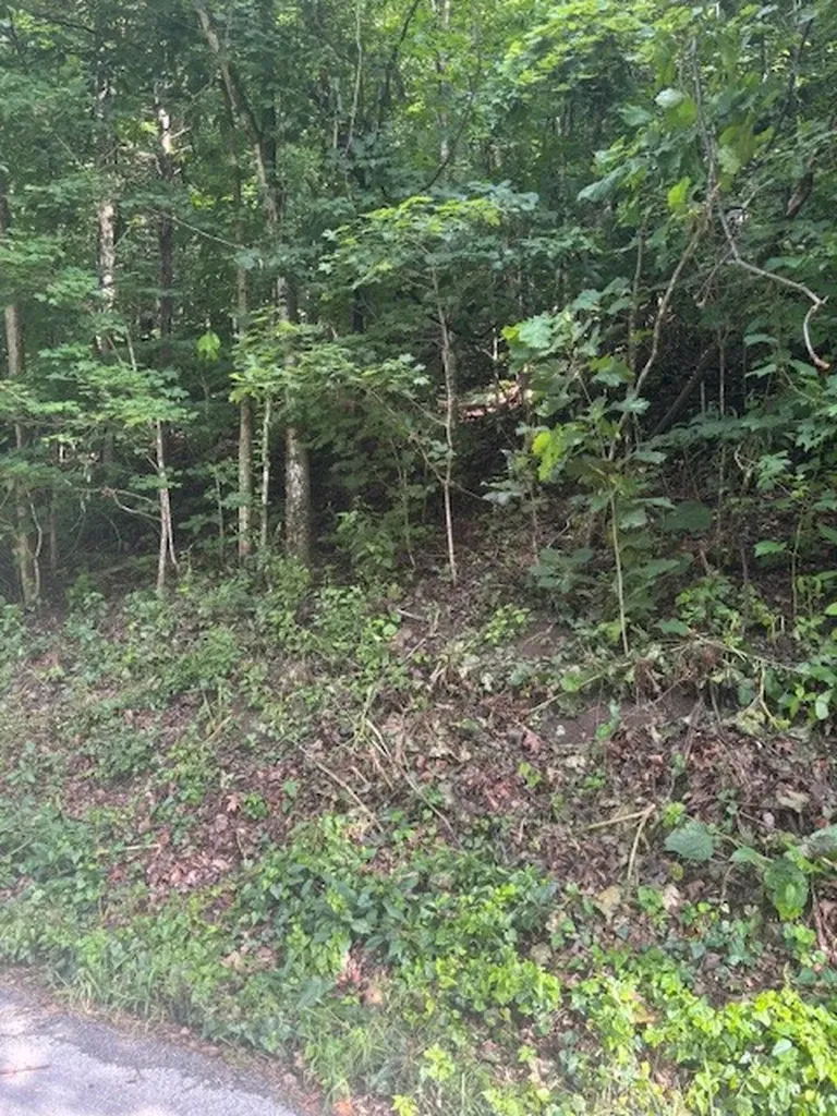 0 Seymour Hollow Road Whites Creek TN 37189