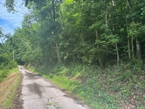 0 Seymour Hollow Road Whites Creek TN 37189