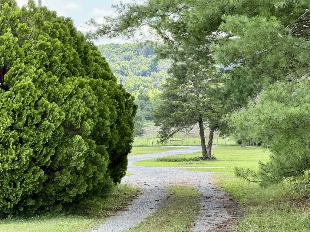 1280B Mccrary Road Lebanon TN 37087