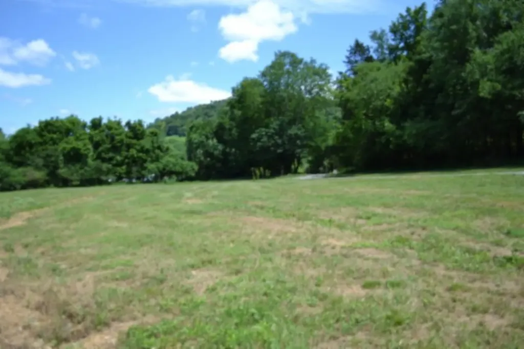 425 Baugh Hollow Lane Gainesboro TN 38562