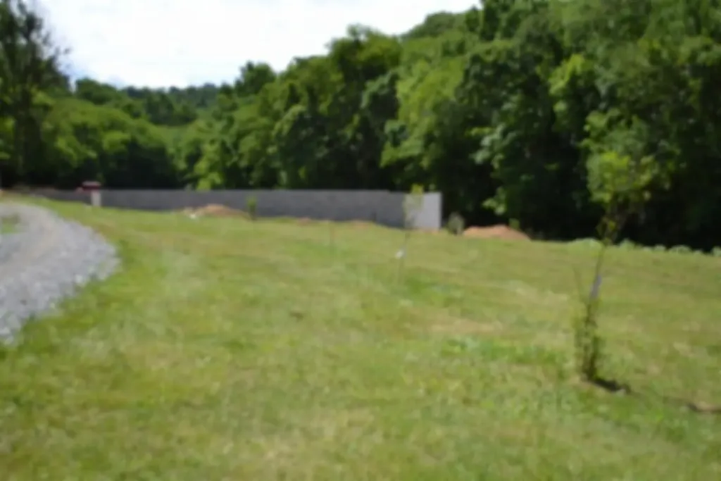 425 Baugh Hollow Lane Gainesboro TN 38562