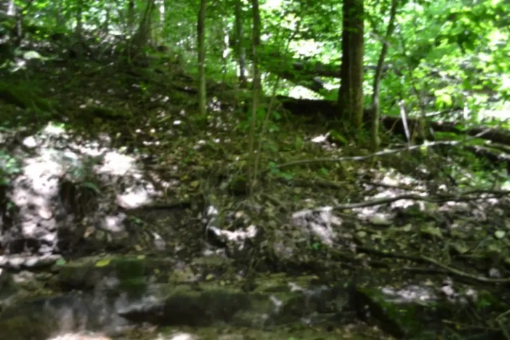 425 Baugh Hollow Lane Gainesboro TN 38562