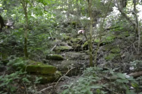 425 Baugh Hollow Lane Gainesboro TN 38562