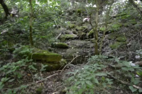 425 Baugh Hollow Lane Gainesboro TN 38562