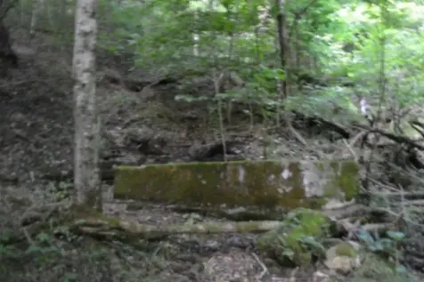 425 Baugh Hollow Lane Gainesboro TN 38562