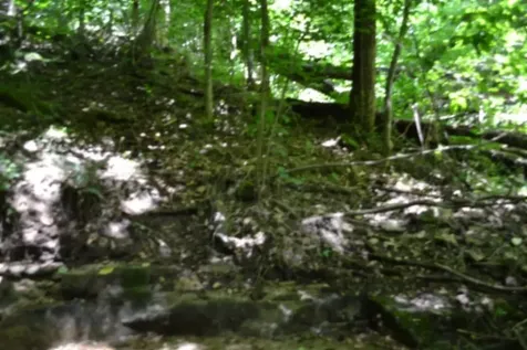 425 Baugh Hollow Lane Gainesboro TN 38562