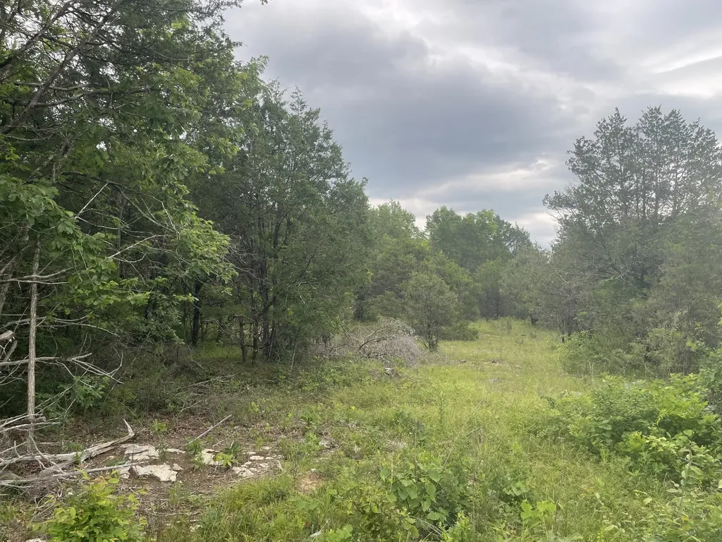 3822 Bivens Hill Road Readyville TN 37149