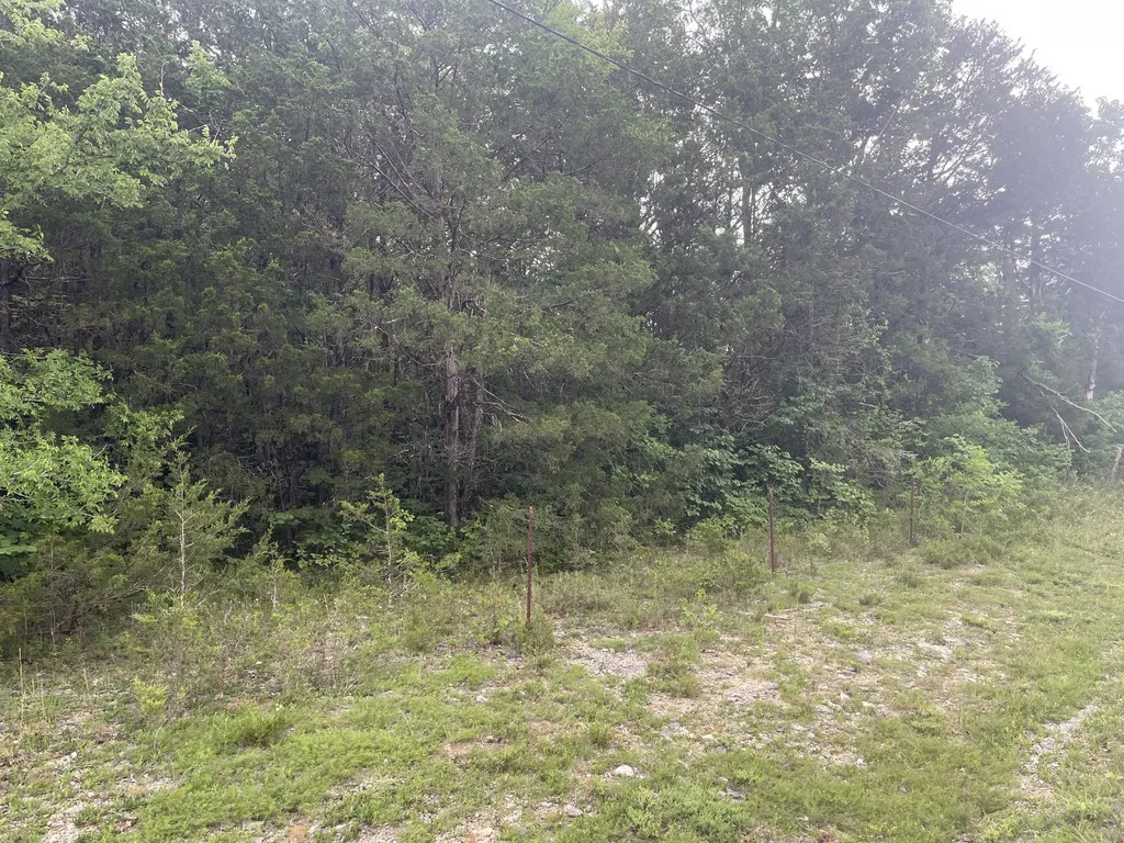 3822 Bivens Hill Road Readyville TN 37149