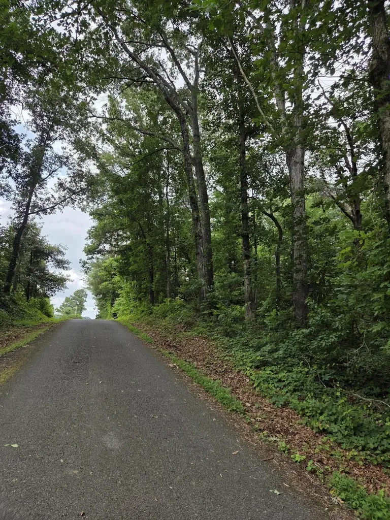 0 Co Road 156 Riceville TN 37370