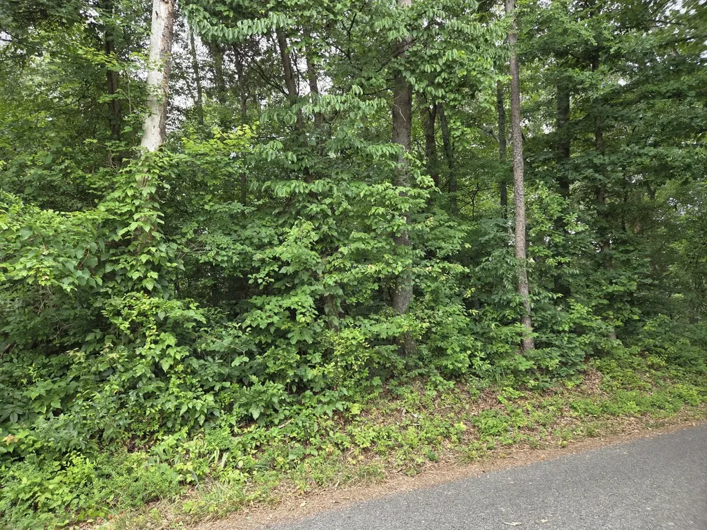 0 Co Road 156 Riceville TN 37370