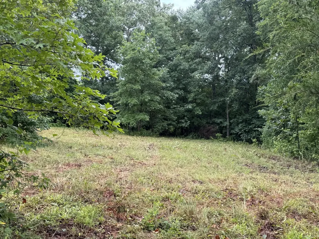 0 Johnson Hollow Road Stewart TN 37175