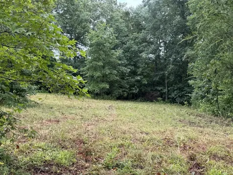 0 Johnson Hollow Road Stewart TN 37175