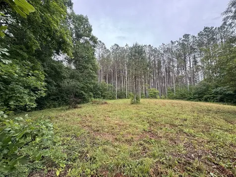 0 Johnson Hollow Road Stewart TN 37175