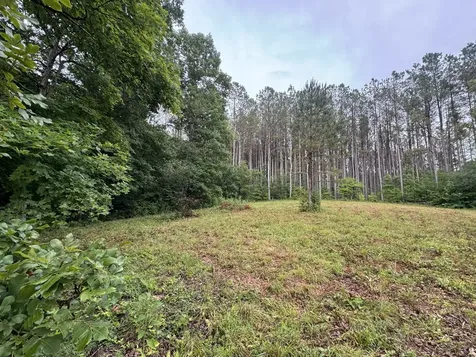 0 Johnson Hollow Road Stewart TN 37175