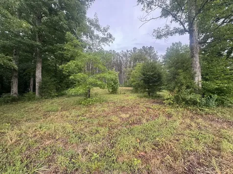 0 Johnson Hollow Road Stewart TN 37175