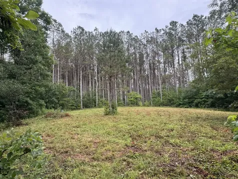 0 Johnson Hollow Road Stewart TN 37175