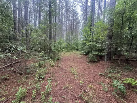 0 Johnson Hollow Road Stewart TN 37175