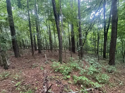 0 Johnson Hollow Road Stewart TN 37175