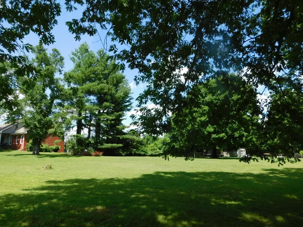 319 Harsh Lane Castalian Springs TN 37031