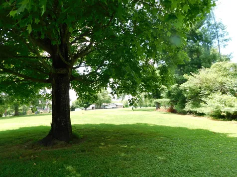 319 Harsh Lane Castalian Springs TN 37031