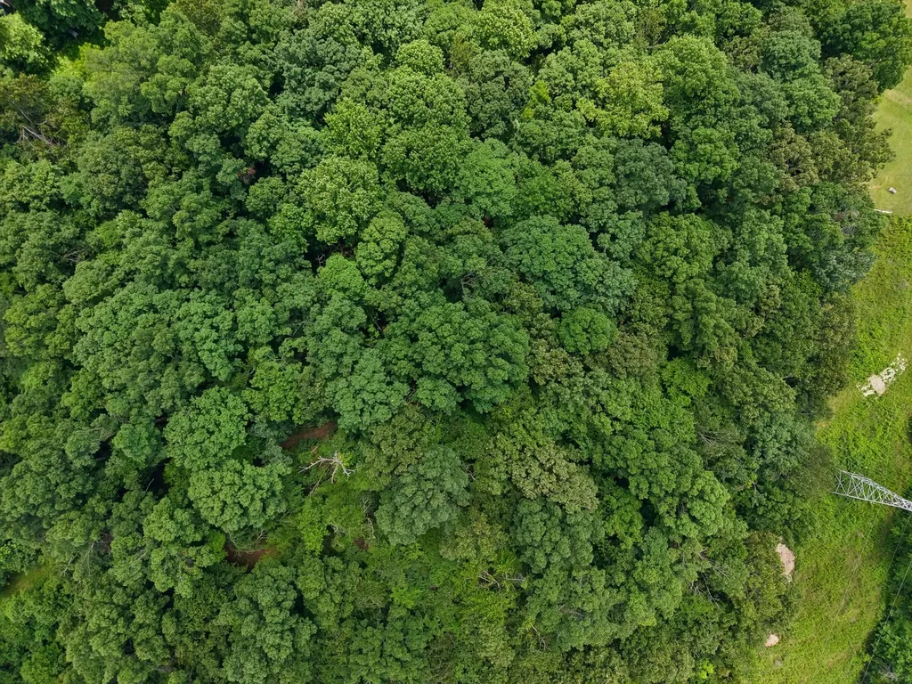7368 Walker Road Fairview TN 37062
