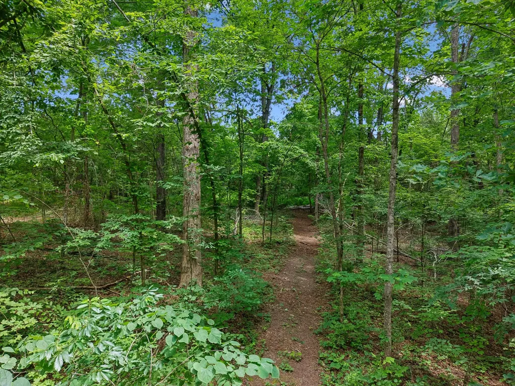 7368 Walker Road Fairview TN 37062
