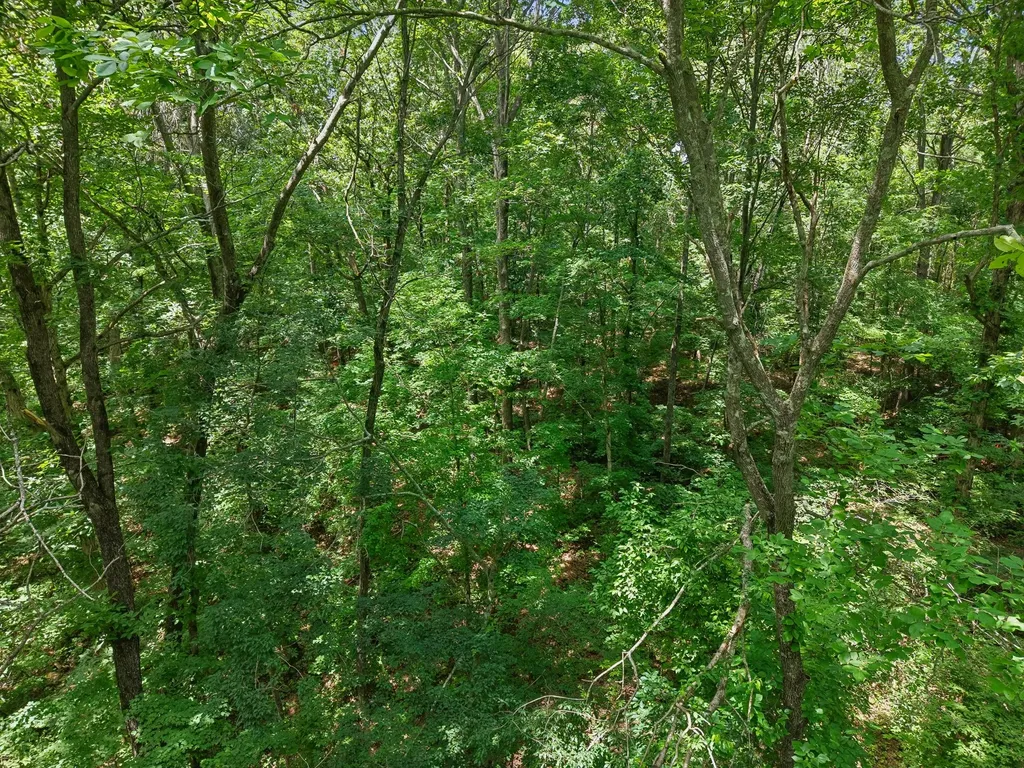 7368 Walker Road Fairview TN 37062
