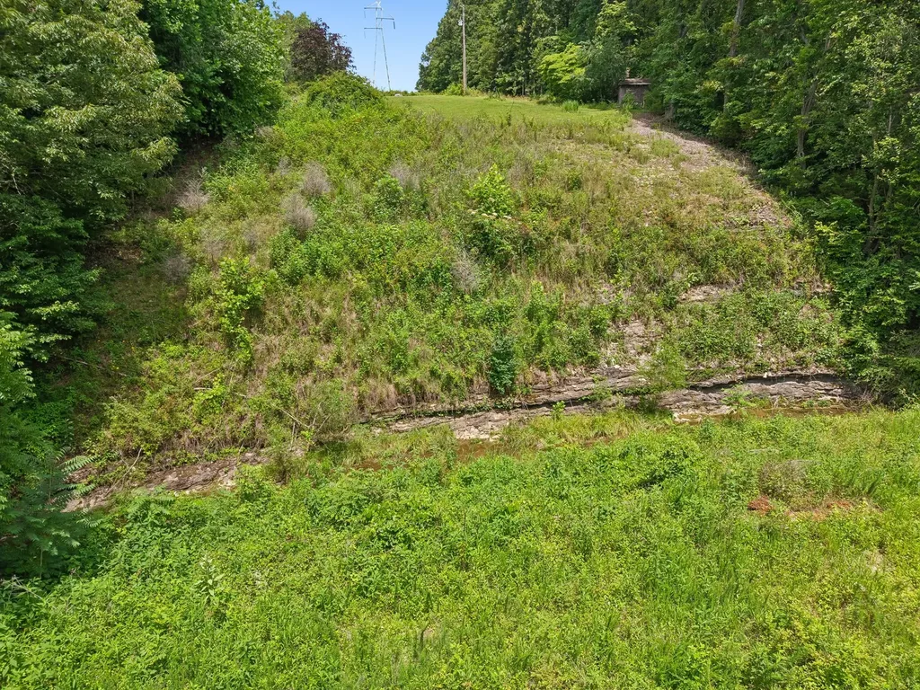 7368 Walker Road Fairview TN 37062