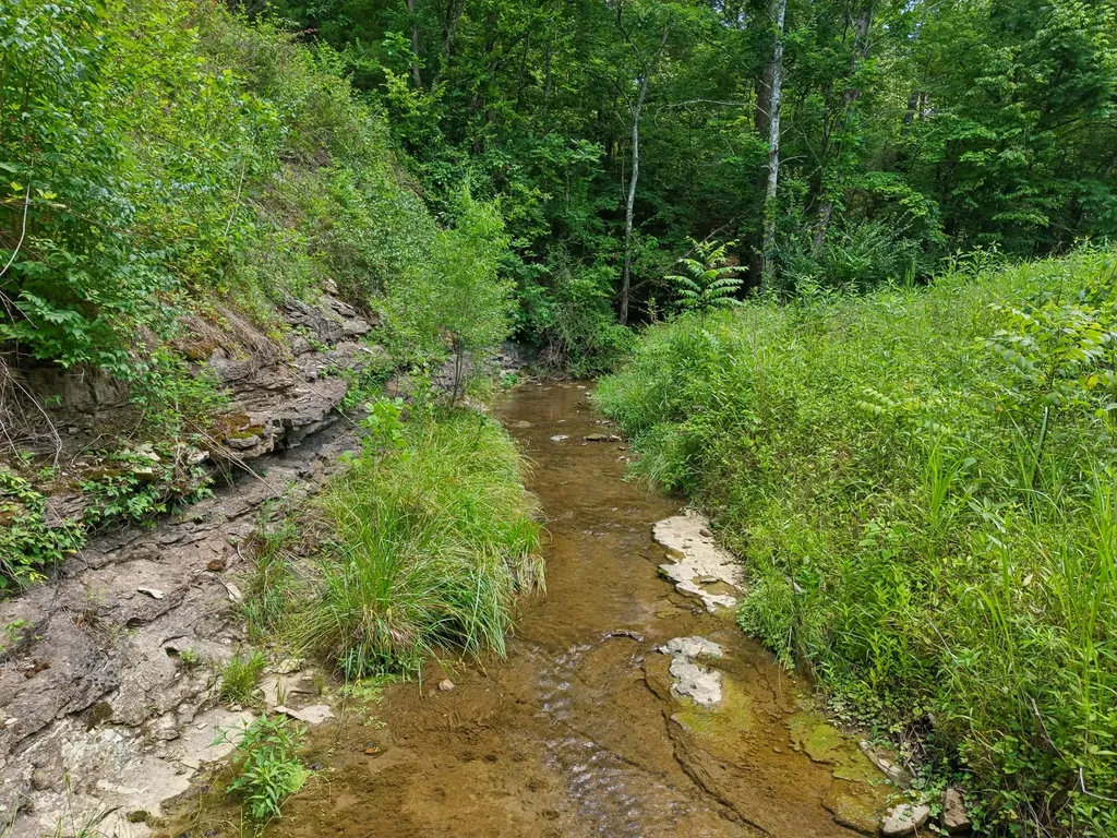 7368 Walker Road Fairview TN 37062