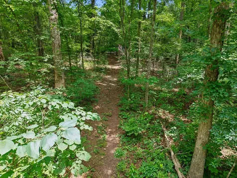 7368 Walker Road Fairview TN 37062