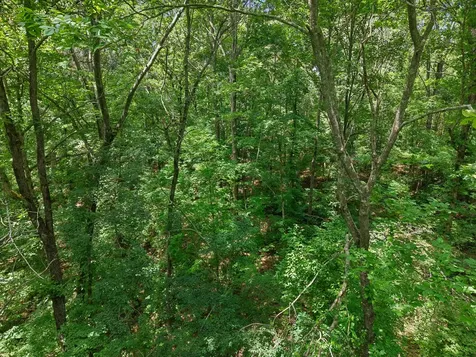 7368 Walker Road Fairview TN 37062