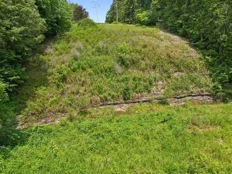 7368 Walker Road Fairview TN 37062