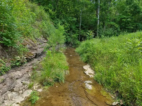 7368 Walker Road Fairview TN 37062