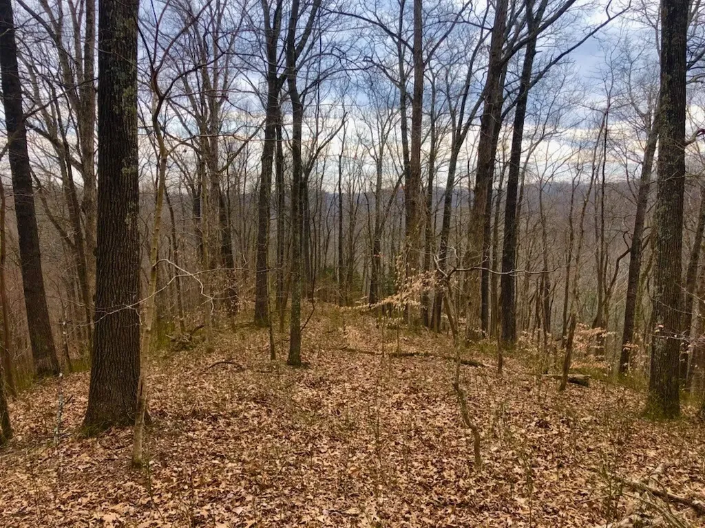 0 Simpkins Road Whites Creek TN 37189