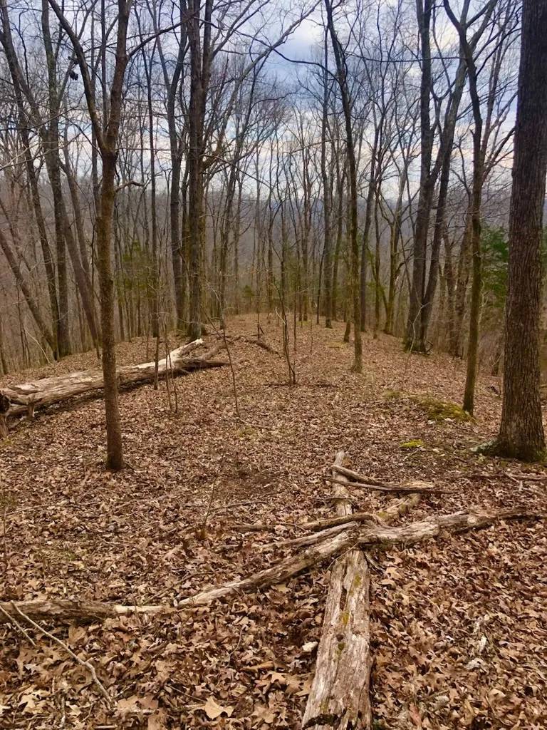 0 Simpkins Road Whites Creek TN 37189