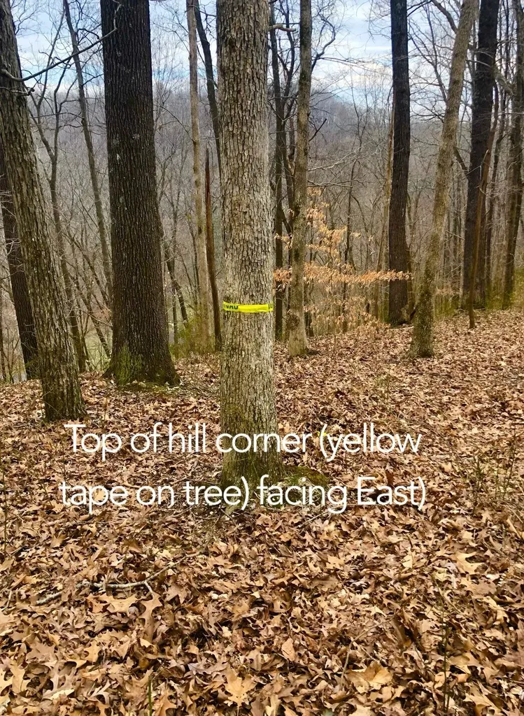 0 Simpkins Road Whites Creek TN 37189
