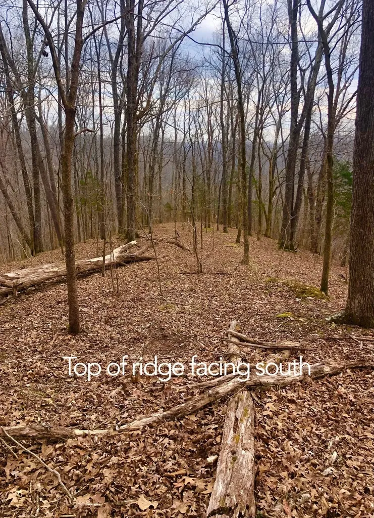 0 Simpkins Road Whites Creek TN 37189