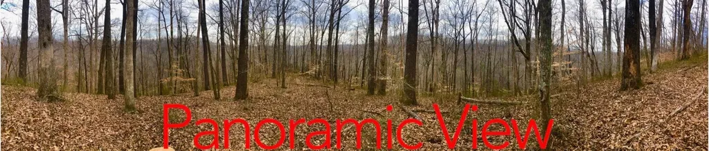 0 Simpkins Road Whites Creek TN 37189