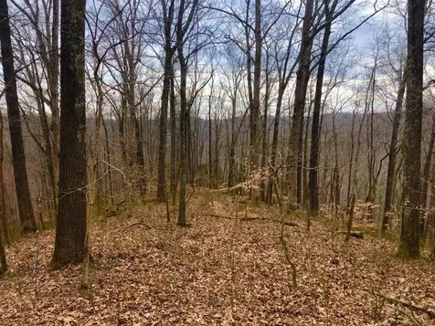 0 Simpkins Road Whites Creek TN 37189