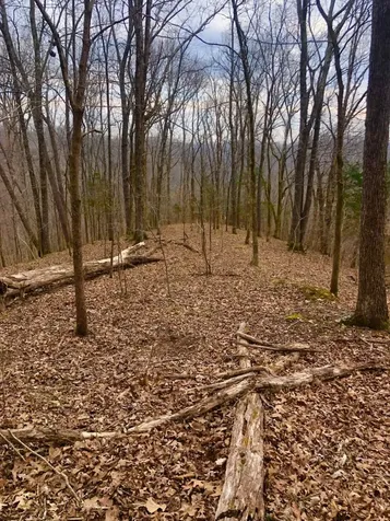 0 Simpkins Road Whites Creek TN 37189